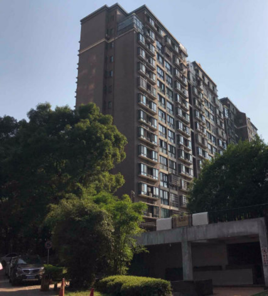 城市森林